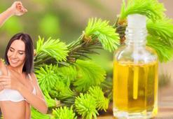 Yazın ter kokmaktan korkmayın! Tek damlası deodoranttan daha etkili, kokuyu hapsediyor