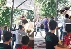 Kızgın boğa kasaba dehşeti yaşattı!