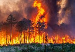Bakan Yumaklı'dan orman yangını uyarısı! Hava sıcaklıklarına dikkat çekti