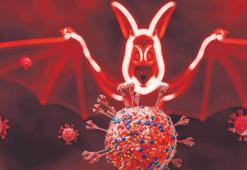 Yeni salgın alarmı! Yine yarasa yine virüs
