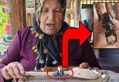 Parmak büyüklüğünde geyik böceği görüldü! Cezası 557 bin TL