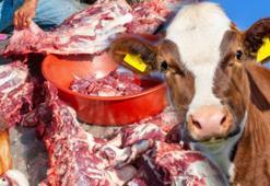 Kurban eti hiç ziyan olmuyor, doğru kesen yaşadı! En lezzetli ve değerli yeriymiş