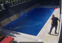 Sahibinden kaçan koçun, bir villanın bahçesindeki havuza girdiği anlar kamerada