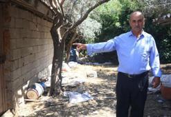 ‘Bu benim en uysal hayvanım' dedi… Dakikalar sonra yaşananlara inanamadı