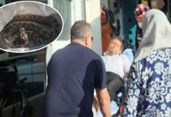 Ailesi ile pikniğe gitti dehşeti yaşadı! Engerek yılanı ayağını ısırdı