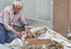 Hasta buzağısına bebek gibi sarıldı! Saatlerce gözyaşı döktü