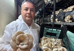 Mutfak masraflarını karşılamak için üretime başladı! Kurduğu tesiste 15 kadına istihdam sağlıyor