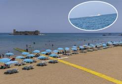 Plajda köpek balığı korkusu! Sahil boşaltıldı gerçek ise bambaşka çıktı