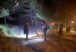 Pendik'te ormana girdi ve ardından kayboldu! Ekipler harekete geçti