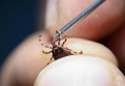 Sağlık Bakanlığı'ndan KKKA vakalarına karşı açıklama