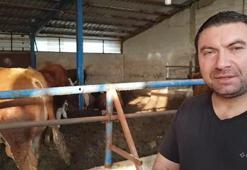 7 hisseli kurban kesti, gelen telefonla şoke oldu: Umre ile çifte bayram sevinci