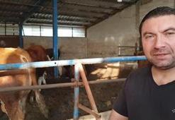 7 hisseli kurban kesti, gelen telefonla şoke oldu: Umre ile çifte bayram sevinci