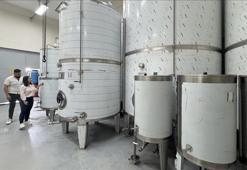 Kadın mühendis eşinin memleketinde devlet desteğiyle fabrika kurdu