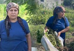 Eşinin cezası onu ilçenin ilk kadın lideri yaptı! ‘Farkla kazandım'