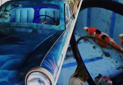 Buldukları gizli akvaryum şoke etti!