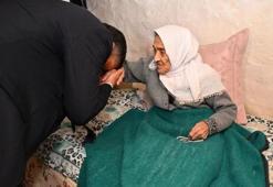 102 yaşındaki asırlık çınara ziyaret