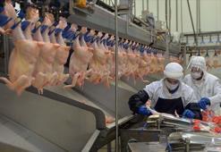 Tavuk eti üretimi nisanda arttı