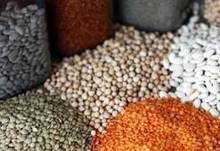 Güneydoğu'dan 5 ayda 1,5 milyar dolarlık hububat ihracatı