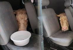 155 bin TL’ye anlaştı 155 TL gönderdiler! 1 sıfır eksik yazınca şok gerçek ortaya çıktı