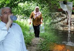 Şifalı olduğuna inanılıyor! Ağızda acı tat bırakan su hakkında gerçek çok başka