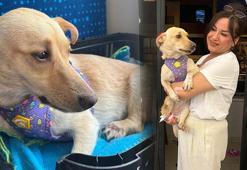 Aydın'da şiddet gördü! Almanya’da yeni bir 'Hayat'