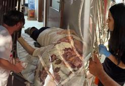 Yaşlı babasına söyledikleri herkesi şoke etti: 'Acayip bir yaratık oldun, seni ölüme terk ediyorum'