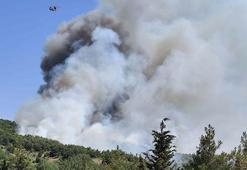 2 kentte yangın paniği! Havadan ve karadan müdahale