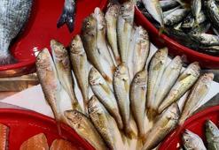 Trabzon'da balıkçı tezgahlarında bolluk!