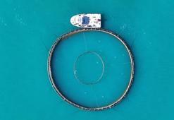 Türk somonu hasadı bereketli geçiyor