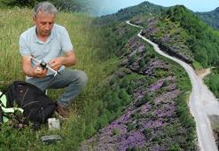 Öğretmenin hobisi hayatını değişitirdi! Görüntüler yayınlanınca ünlü oldu