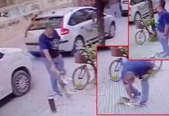 Yere atıp, boğazını sıktı! ‘Benim köpeğim, istediğimi yaparım’