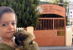 Alperen'in serviste öldüğü davada flaş karar! Okul müdürünün cezası arttı