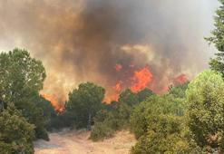 Çanakkale'de orman yangını kontrol altına alındı