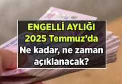 Yeni engelli maaşı (aylığı) zammı 2025 Temmuz'da ne olur, ne zaman açıklanır? Engelli aylığı (maaşı) ne kadar?