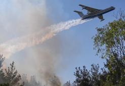İzmir'deki orman yangınına müdahale sürüyor! Bakan Yumaklı bilgi aldı