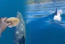 Yer: Bartın! Teknesinin önündeki manzara karşısında şoke oldu