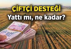 Tarımsal Destekler 👩🏻‍🌾👨🏻‍🌾 Çiftçi desteği yattı mı, ne zaman yatacak? 2025 Çiftçi destekleri ne kadar?