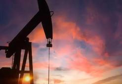 Petrol kaç dolardan işlem görüyor?