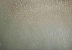 Duşakabindeki kireç lekesini çıkaran yöntem! Leke bırakmadan pırıl pırıl yapıyor