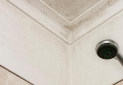 Banyodaki küf sorununu ortadan kaldırıyor! Havadaki nemi sünger gibi çekecek