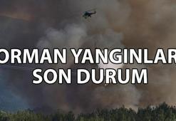 SON DAKİKA ORMAN YANGINI HABERLERİ 📌 Orman yangınları söndürüldü mü? İzmir, Tekirdağ, Bursa, Antalya, Kahramanmaraş, Sakarya, Bilecik orman yangını son durum