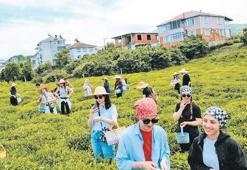 “İyi çay bir tasarım işidir”