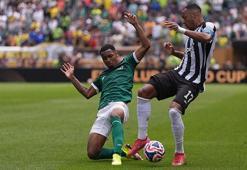 Palmeiras - Botafogo maçından kareler