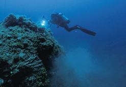 Denizler hayalet ağlardan arınıyor