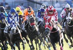 Yarışların kralı Gazi Koşusu heyecanı!