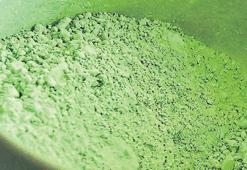 Matcha çılgınlığı