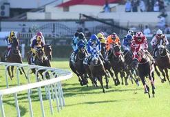 Türk at yarışçılığının derbisi Gazi Koşusu için geri sayım!