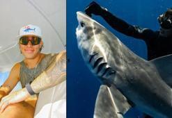 19 köpekbalığını serbest bırakıp hüküm giydi, gelen afla 'nutku tutuldu'
