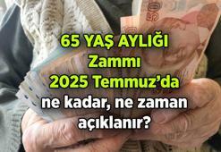 65 Yaş aylığına zam olacak mı, ne kadar olacak? 2025 Temmuz'da yaşlılık maaşı kaç TL olur? İşte tahmini oran