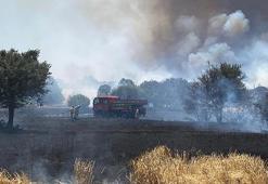 Çanakkale'deki orman yangınlarıyla ilgili 26 kişi hakkında adli işlem başlatıldı